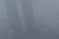 фото thumb №10, Ford ranger капот кришка камери двигуна