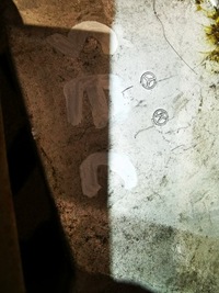 фото thumb №7, Механізм підйомник двигун скло задня mercedes w126 126 sec coupe 560sec