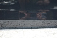 Дверь правый  перед ford fiesta mk7 3d Цена, фото thumb