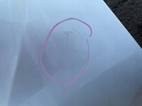 фото thumb №13, Vw tiguan ii рестайлинг крыло перед lc3j la7c ld5k lc9a la7w