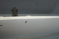 фото thumb №7, Капот крышка двигателя opel corsa e z40r