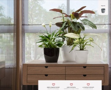 Пластиковая крышка для вазона капучино MAGNOLIA 250