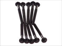 фото thumb №10, Набор винт головки цилиндров dacia duster, logan, logan ii, logan mcv,