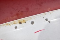 фото thumb №6, Капот кришка двигуна біла iveco daily 6 vi 14-