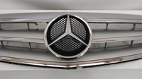 фото thumb №3, Решётка радиатора решётка радиатора mercedes b 245 w169 2006-2008