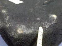 фото thumb №6, Jaguar xf i x250 sedan ніша обшивка колеса запасного 8x23-45026-ab