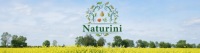 Масло примулы вечерней холодного отжима 250 мл NaturOil