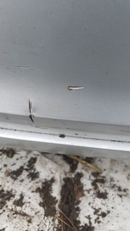 фото thumb №6, Бампер задня pdc vw polo v