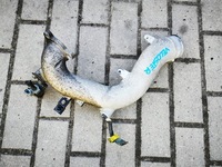 фото thumb №1, Hyundai veloster i 1.6 t-gdi труба воздухозаборник воздуха