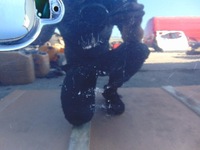 фото thumb №9, Дверь правые перед vw polo v 6r 5d lc9x