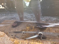 фото thumb №13, Двері задні задня праве peugeot 3008 ii голий