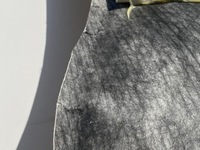 фото thumb №9, Потолок ford kuga mk3 2020+ втулка стабилизатора usa