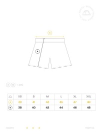 Шорты MANTO MMA Грэпплинг DEBZA L