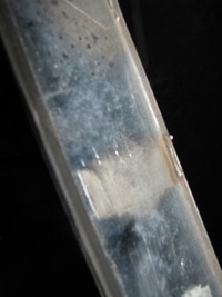 фото thumb №8, Opel astra h 04- універсал накладка кришки зад