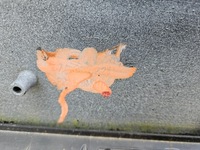 фото thumb №7, Skoda karoq бампер перед передний