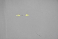 фото thumb №4, Капот кришка двигуна jaguar xf x250