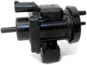 фото thumb №2, Meat & doria 9383