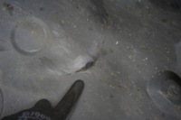 фото thumb №9, A4b8 lift подкрылок правое передние