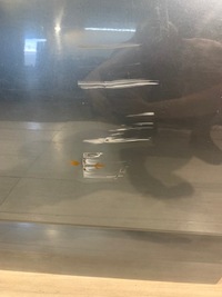 фото thumb №6, Skoda octavia 3 iii дверь задние правые универсал