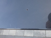 Бампер range rover sport ii l494 рестайлинг с Разборки, фото thumb