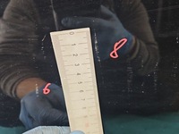 фото thumb №10, Двері перед ліва honda civic vii 3d