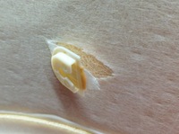 фото thumb №7, Потолок vivaro b легковой длинный renault trafic iii 2014-