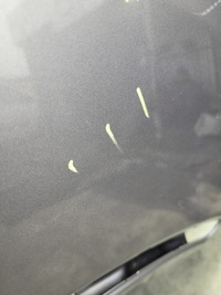 фото thumb №8, Капот hyundai veloster 2011-18