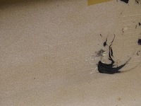 фото thumb №10, Накладка накладка порог правая vw scirocco 1k8 lift r r-line 1k8853860c lc9a