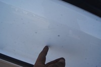 фото thumb №6, Дверь правые перед partner berlingo ii 13 год