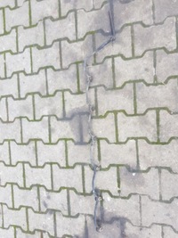 фото thumb №1, Man tga провода шланг wody головки