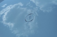 фото thumb №8, Капот renault trafic iii демонтаж