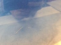 фото thumb №8, Renault clio iii крышка багажника багажника hb tei45