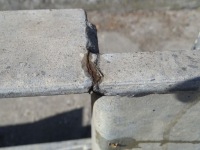 Iveco daf man бампер задній підніжка складний Київ, фото thumb