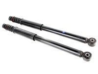 фото thumb №1, Амортизатори задні комплект duster ii 562106321r