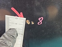 фото thumb №10, Капот передняя opel zafira a z298