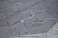 фото thumb №8, Ibiza iv двері лівий перед ліва передні kpl 3d