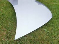 фото thumb №5, Tesla y капот do фарбування