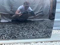 фото thumb №8, Hyundai staria 21r- двері ліва передні лівий перед