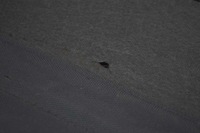 фото thumb №7, Шторка багажника honda crv 3 iii 06-09