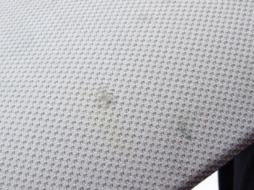 фото thumb №5, Audi a3 8p 03-12 планка стеля зад