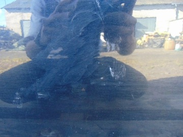 фото thumb №11, Двері праві зад ford focus mk3 колір f8 hb 5двері