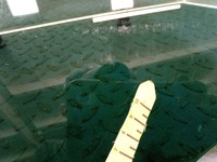 фото thumb №5, Opel insignia b kombi стекло дверь задняя правая