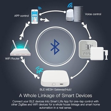 ЦЕНТРАЛЬНЫЙ ШЛЮЗ BLUETOOTH MOES