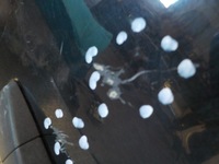 фото thumb №5, Nissan navara d40 дверь задняя правое