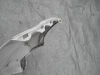 фото thumb №8, Ford c-max ii 10- бампер передній перед