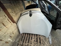 фото thumb №3, Капот megane iii кольори