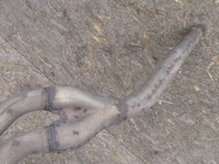 фото thumb №7, Audi a6 c7 allroad kombi 3.0 tdi 2013r. выхлоп гаситель 4g0253611m оригинал