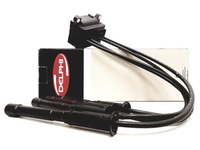 фото thumb №1, Катушка зажигания delphi ce20018-12b1