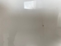 фото thumb №7, Audi a4 b8 8k0 2008 2012 капот крышка двигателя белая комплектная