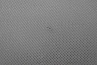 фото thumb №12, Подушка безпеки повітряна подушка пасажира eu mazda 3 1 i bk 03-09